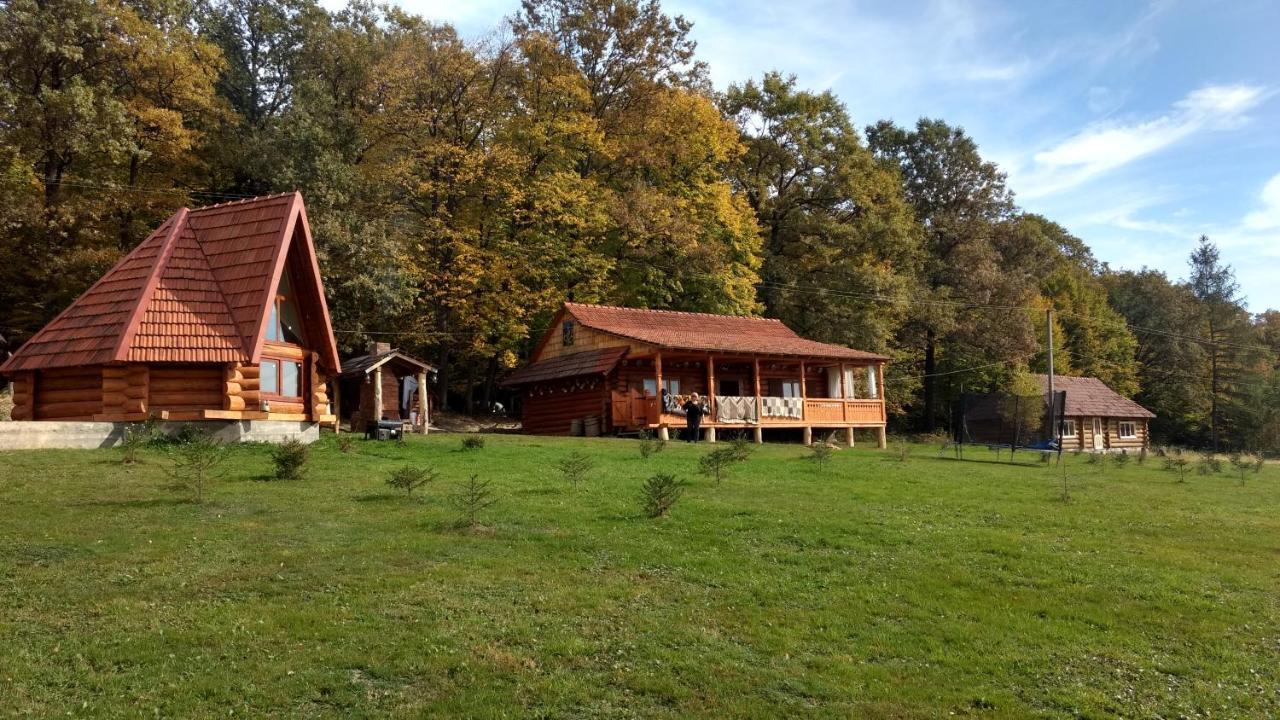 Molfar House Villa Kosiv Luaran gambar